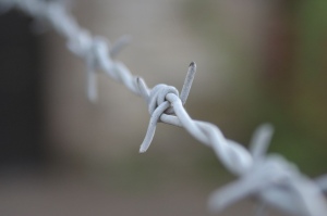 9500 personer föll offer för slavhandlarna 2010. Foto: PoBK/Flickr (CC)